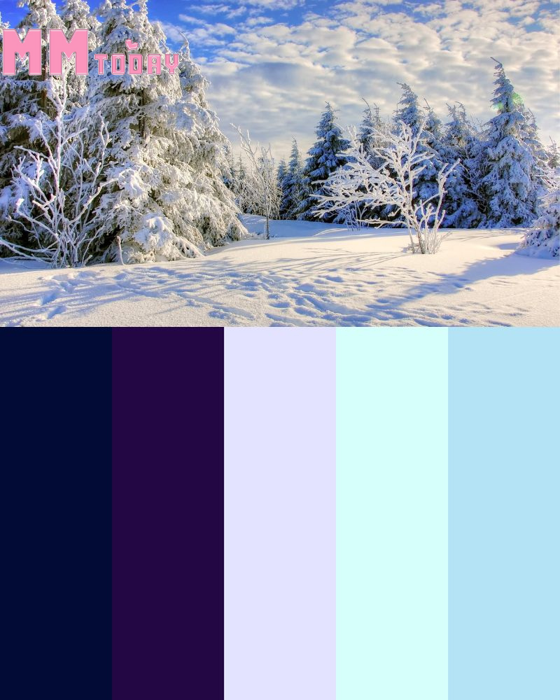 Winter Color