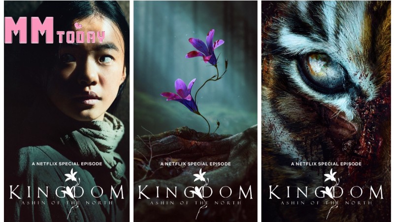 Kingdom: Ashin of the North