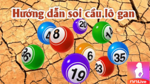 soi cầu lô gan